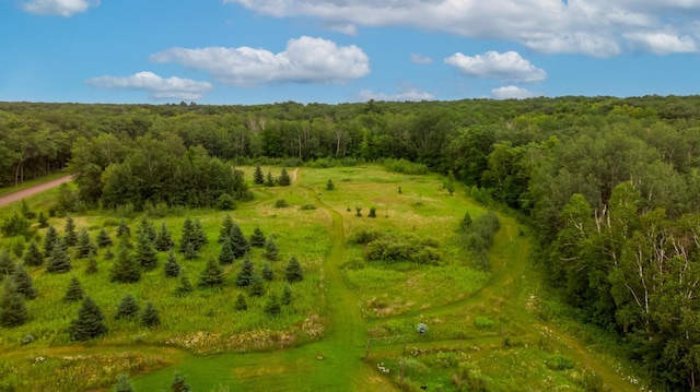 24555 Emstad Rd, Garrison Twp, MN 56401 - photo 20
