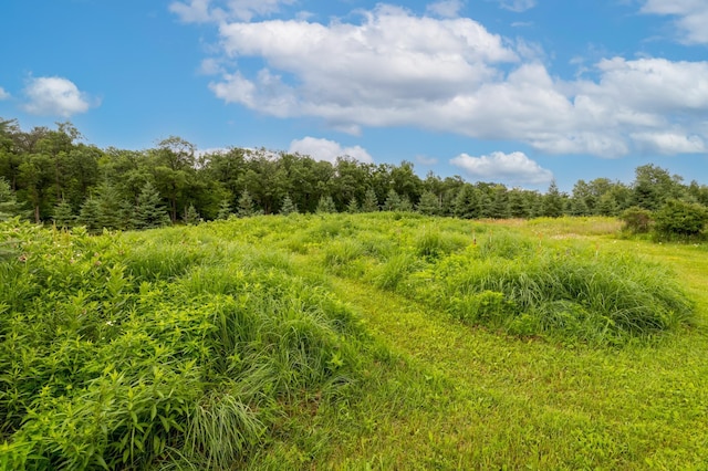 24555 Emstad Rd, Garrison Twp, MN 56401 - photo 33