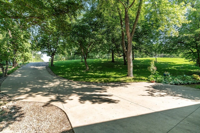 38174 Antler Ln, Clitherall Twp, MN 56515 - photo 10