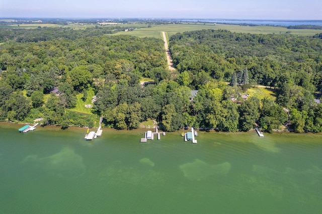 38174 Antler Ln, Clitherall Twp, MN 56515 - photo 110