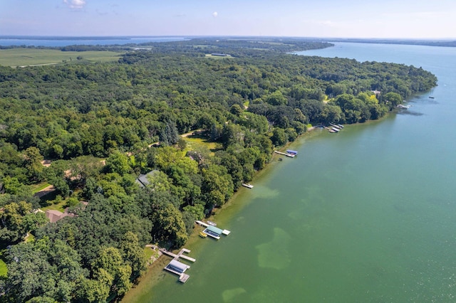 38174 Antler Ln, Clitherall Twp, MN 56515 - photo 113