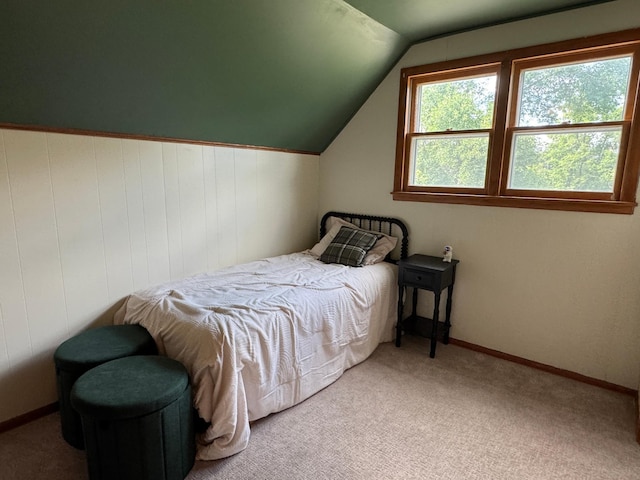 206 Dunton St, Battle Lake, MN 56515 - photo 26