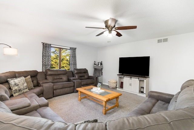 810 Hillcrest Dr, Montgomery, MN 56069 - photo 3