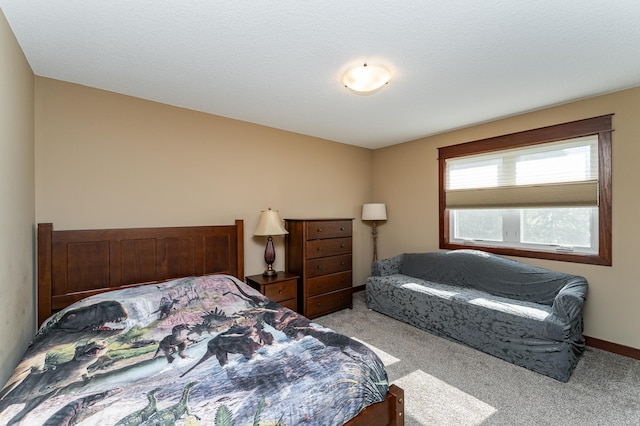 920 Woodlands Ln SE, Oronoco, MN 55960 - photo 31