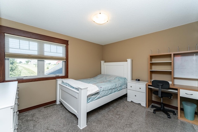 920 Woodlands Ln SE, Oronoco, MN 55960 - photo 34