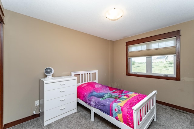 920 Woodlands Ln SE, Oronoco, MN 55960 - photo 36
