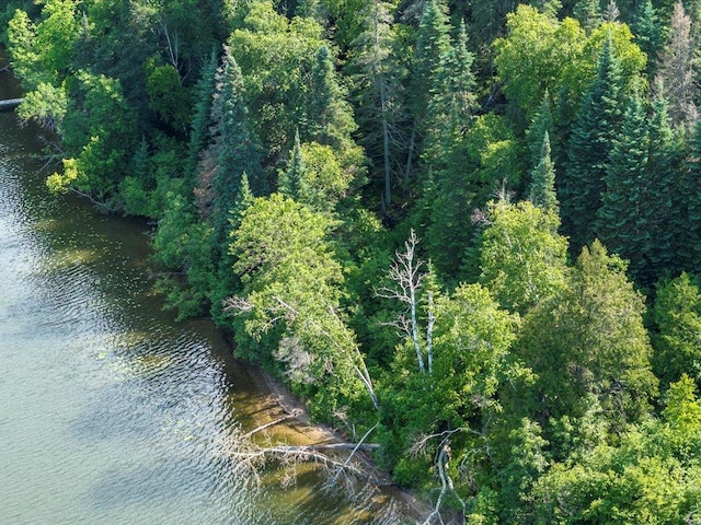LOTS20AND21 Sunset Hill Rd NE, Outing, MN 56662 - photo 2