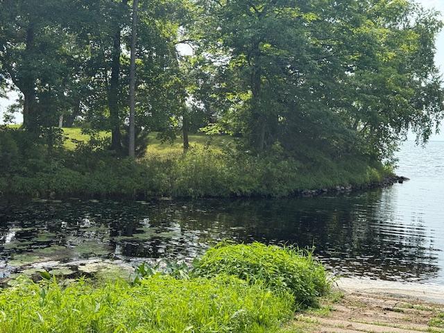 32540 178th Ln, Lakeside Twp, MN 56342 - photo 37