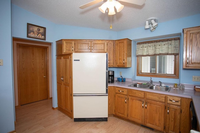 8692 Norway St NW, Coon Rapids, MN 55433 - photo 3