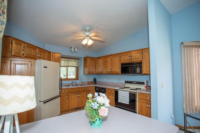 8692 Norway St NW, Coon Rapids, MN 55433 - photo 5