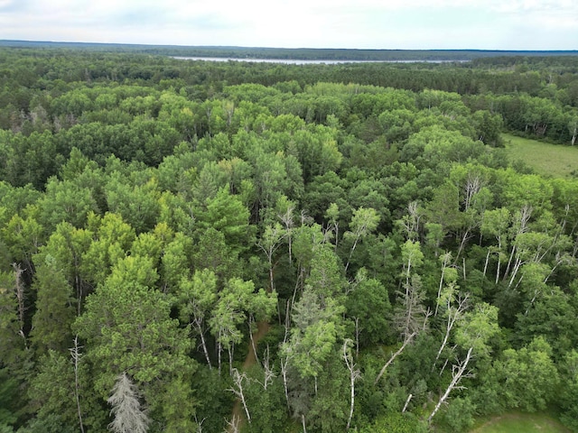 13330 230th St, Park Rapids, MN 56470 - photo 63