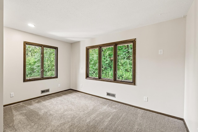 108 Hidden Meadow Rd, Apple Valley, MN 55124 - photo 11
