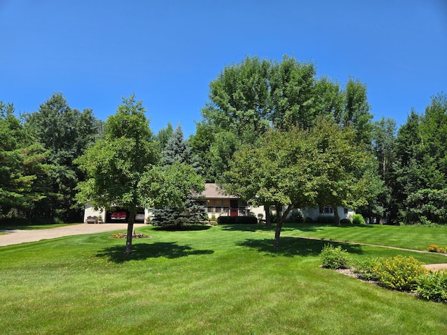 18743 Shoreview Dr, Deerwood Twp, MN 56444 - photo 7