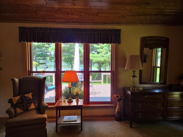 18743 Shoreview Dr, Deerwood Twp, MN 56444 - photo 29