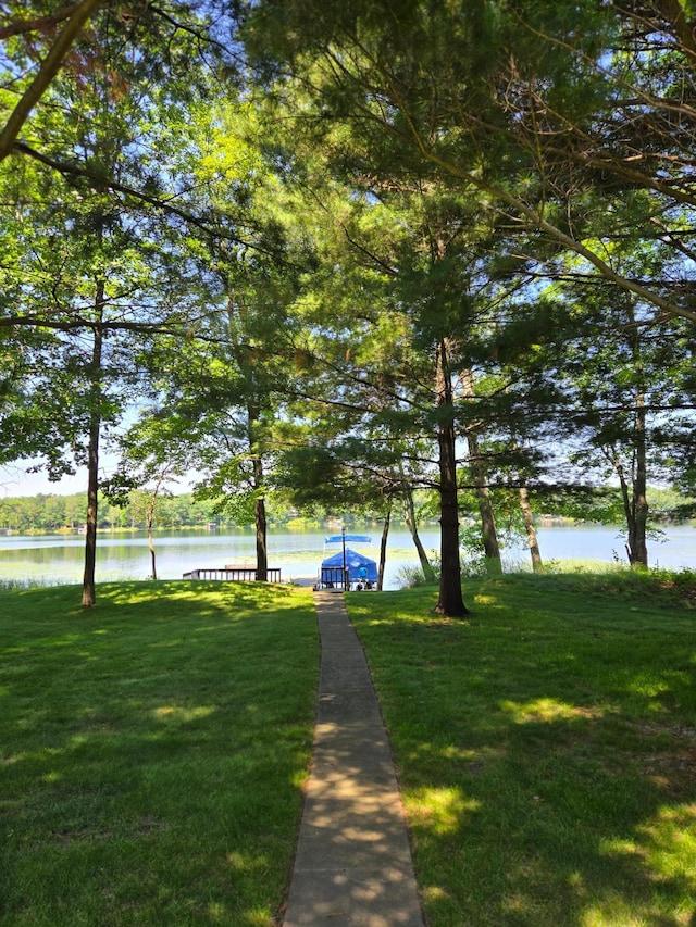18743 Shoreview Dr, Deerwood Twp, MN 56444 - photo 6