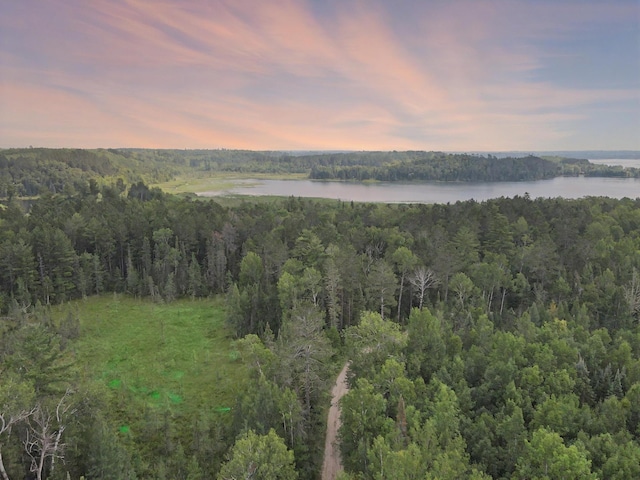25384 County Road 523, Carpenter Twp, MN 56639 - photo 2