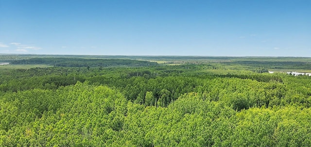 25384 County Road 523, Carpenter Twp, MN 56639 - photo 4