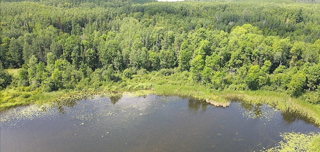 25384 County Road 523, Carpenter Twp, MN 56639 - photo 12