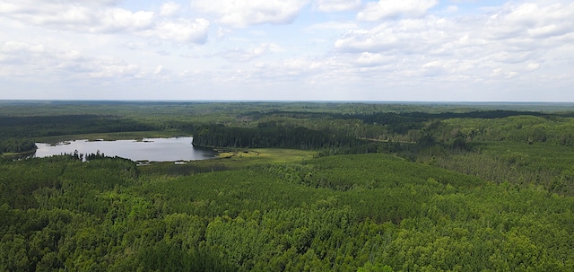 25384 County Road 523, Carpenter Twp, MN 56639 - photo 11