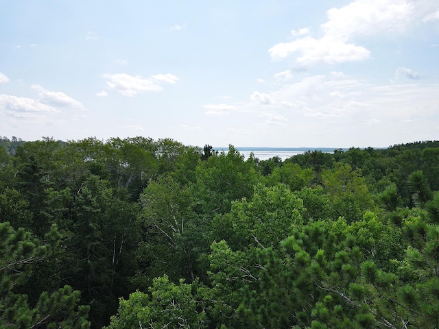 25384 County Road 523, Carpenter Twp, MN 56639 - photo 15
