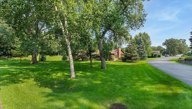 2703 Le Homme Dieu Vw NE, Alexandria, MN 56308 - photo 57