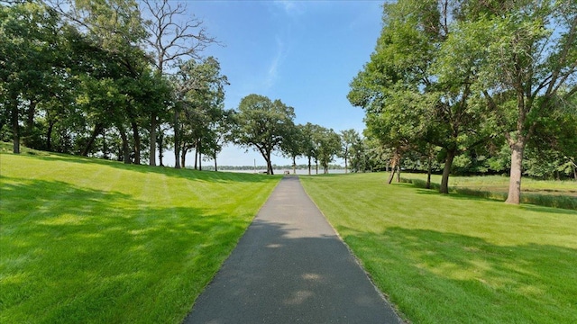 2703 Le Homme Dieu Vw NE, Alexandria, MN 56308 - photo 60