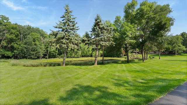 2703 Le Homme Dieu Vw NE, Alexandria, MN 56308 - photo 62