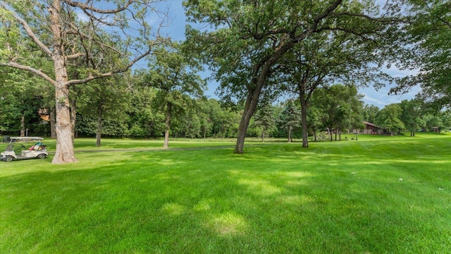 2703 Le Homme Dieu Vw NE, Alexandria, MN 56308 - photo 79