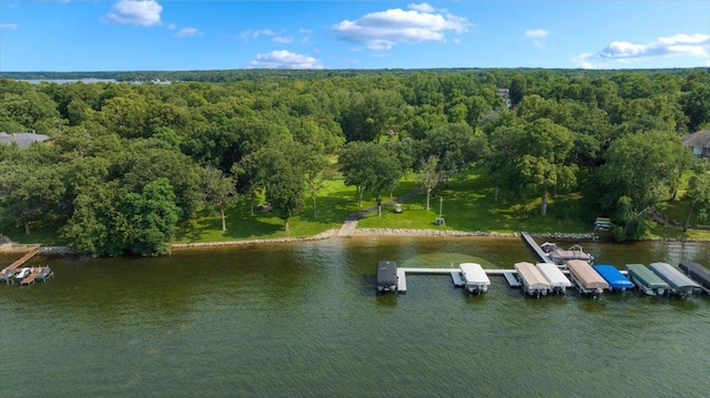 2703 Le Homme Dieu Vw NE, Alexandria, MN 56308 - photo 88