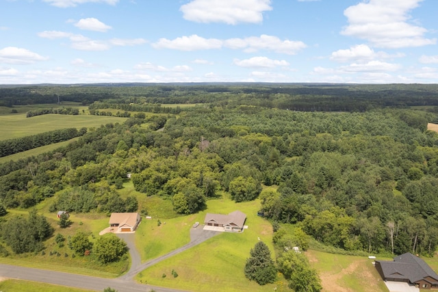 1841 23rd Ave, Alden Twp, WI 54026 - photo 33