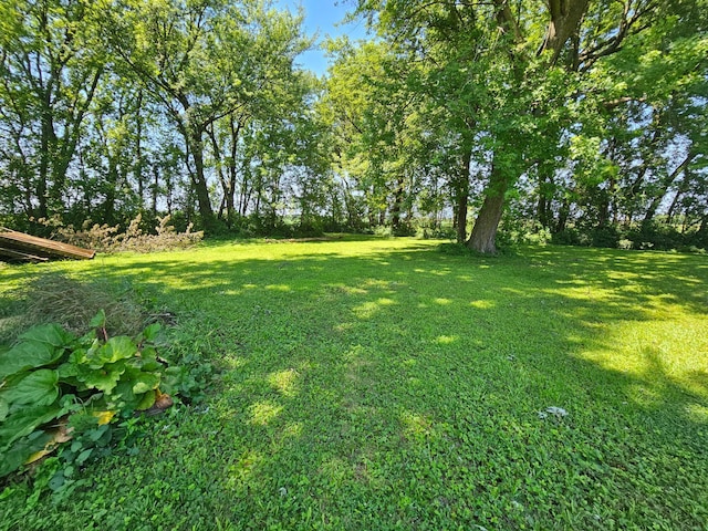 22863 670th Ave, Dexter Twp, MN 55926 - photo 40