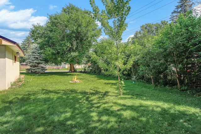 5981 5th St NE, Fridley, MN 55432 - photo 32