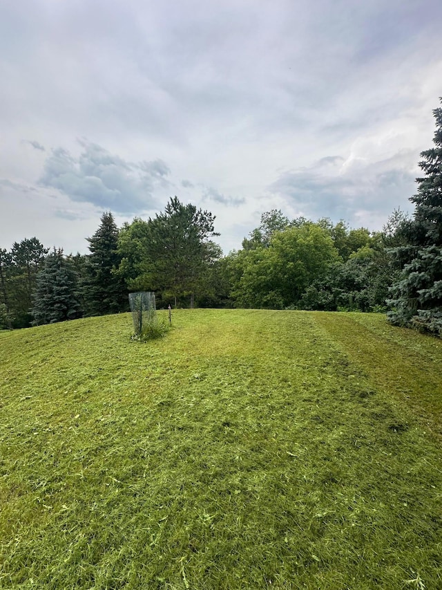 7200 Comstock Ln N, Maple Grove, MN 55311 - photo 4