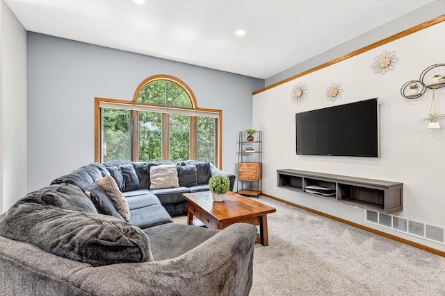 6601 88th Ave N, Brooklyn Park, MN 55445 - photo 11