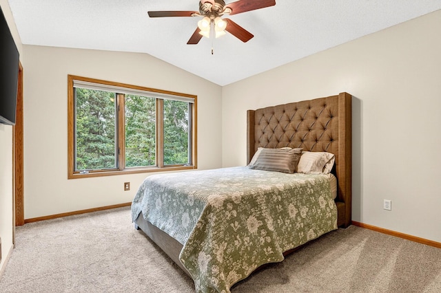 6601 88th Ave N, Brooklyn Park, MN 55445 - photo 19