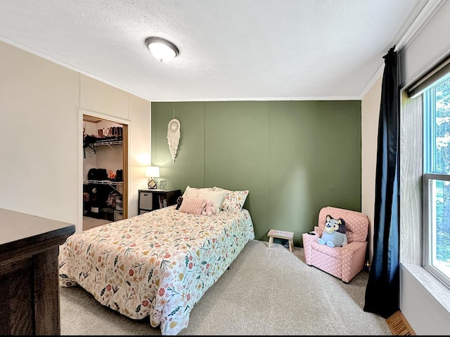 2481 Deschepper Dr, Grand Rapids, MN 55744 - photo 28