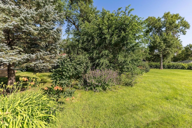 218 7th Ave SE, Elbow Lake, MN 56531 - photo 6