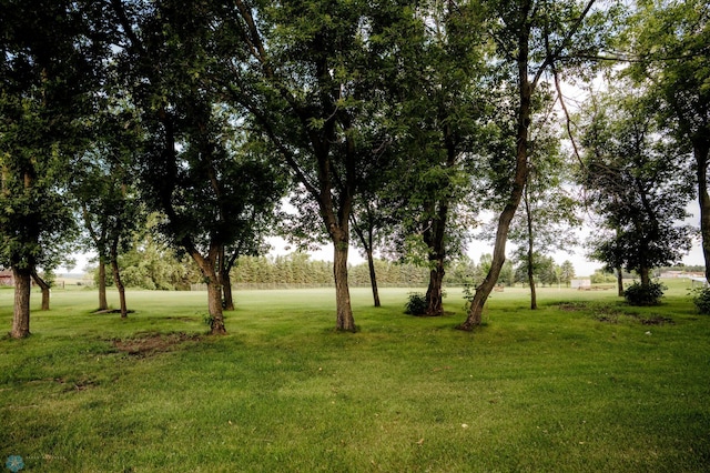 215 3rd Ave W, Gackle, ND 58442 - photo 46