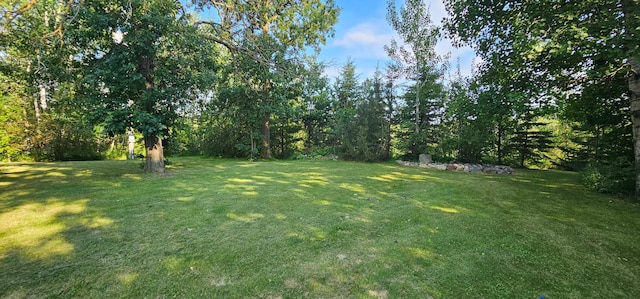 1107 315th Ave, Lengby, MN 56651 - photo 33