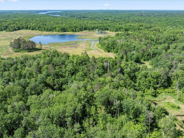 TBD Sunset Hill Rd NE, Outing, MN 56662 - photo 1