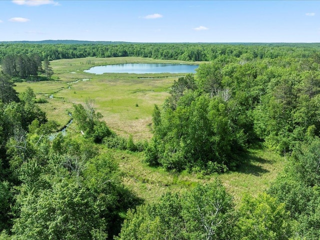 TBD Sunset Hill Rd NE, Outing, MN 56662 - photo 2