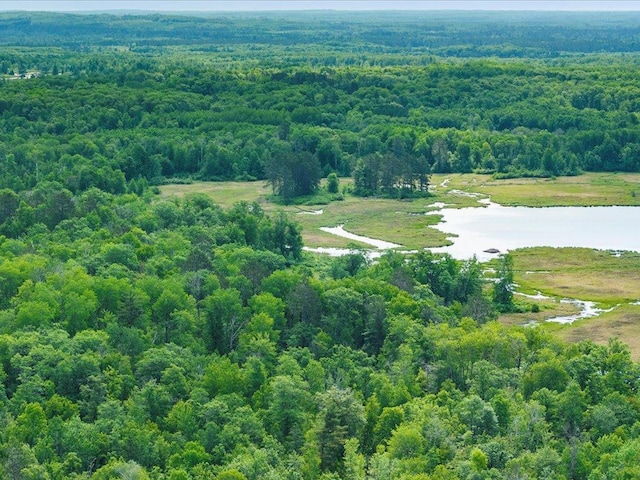 TBD Sunset Hill Rd NE, Outing, MN 56662 - photo 7