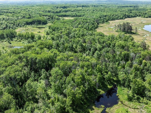 TBD Sunset Hill Rd NE, Outing, MN 56662 - photo 8