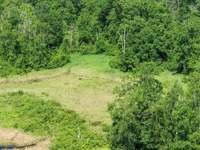 TBD Sunset Hill Rd NE, Outing, MN 56662 - photo 28