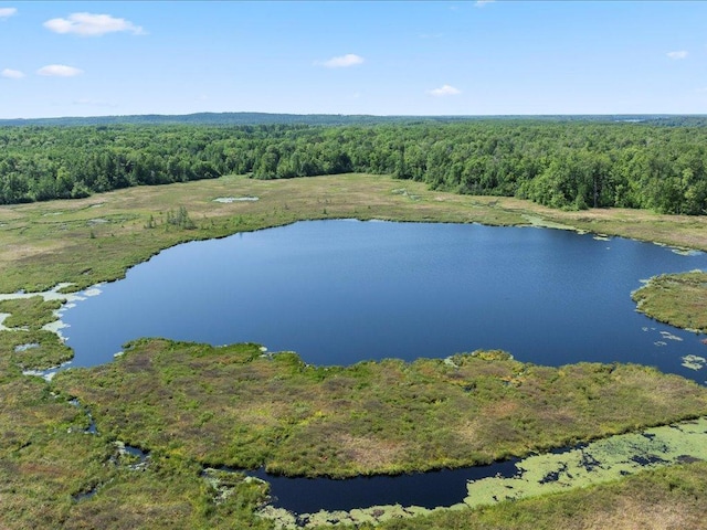 TBD Sunset Hill Rd NE, Outing, MN 56662 - photo 31
