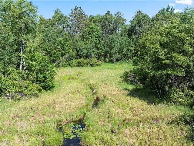 TBD Sunset Hill Rd NE, Outing, MN 56662 - photo 35