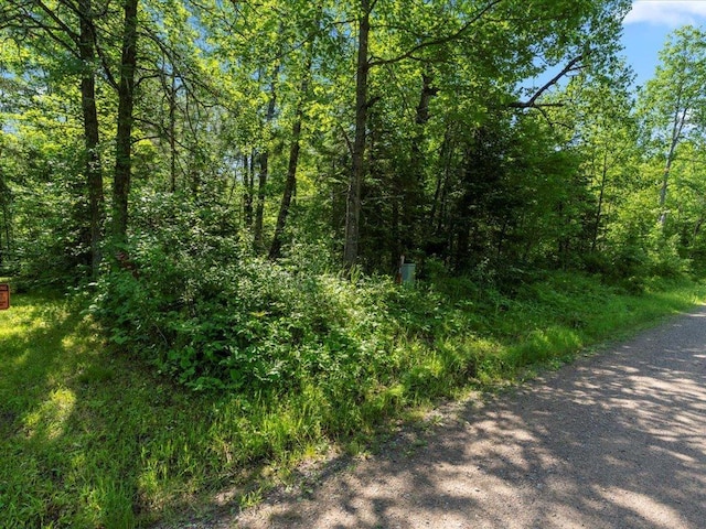 TBD Sunset Hill Rd NE, Outing, MN 56662 - photo 36