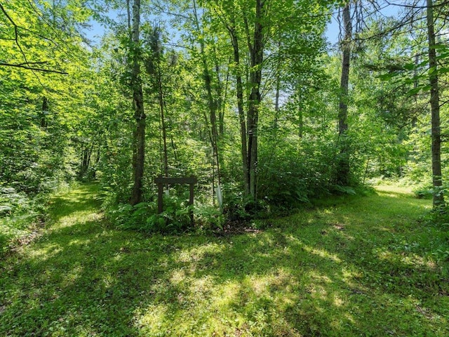 TBD Sunset Hill Rd NE, Outing, MN 56662 - photo 37