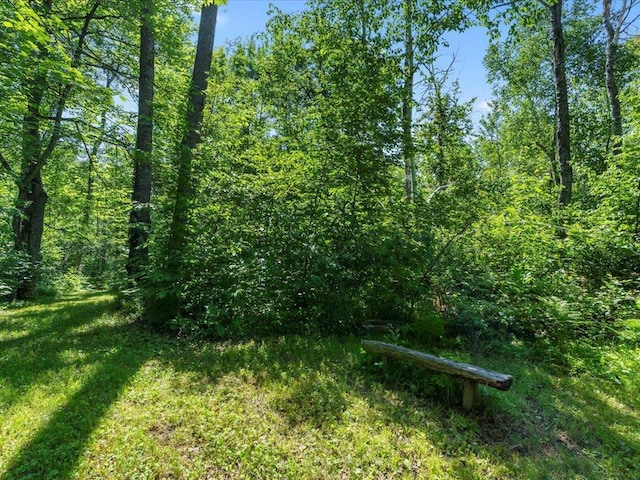 TBD Sunset Hill Rd NE, Outing, MN 56662 - photo 41