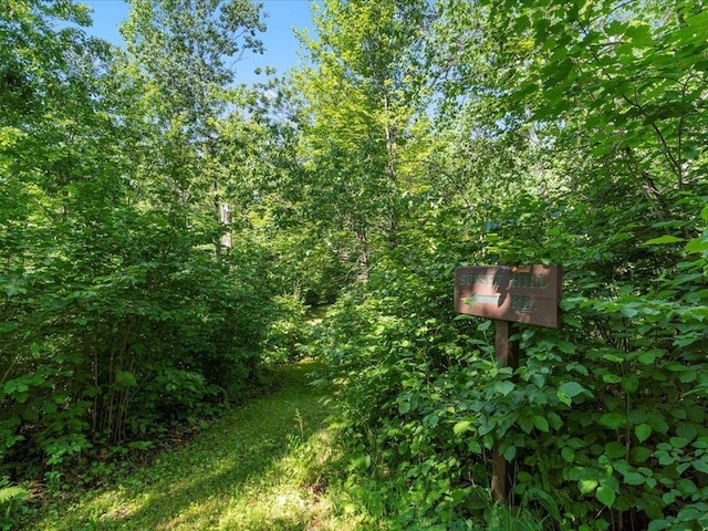 TBD Sunset Hill Rd NE, Outing, MN 56662 - photo 42